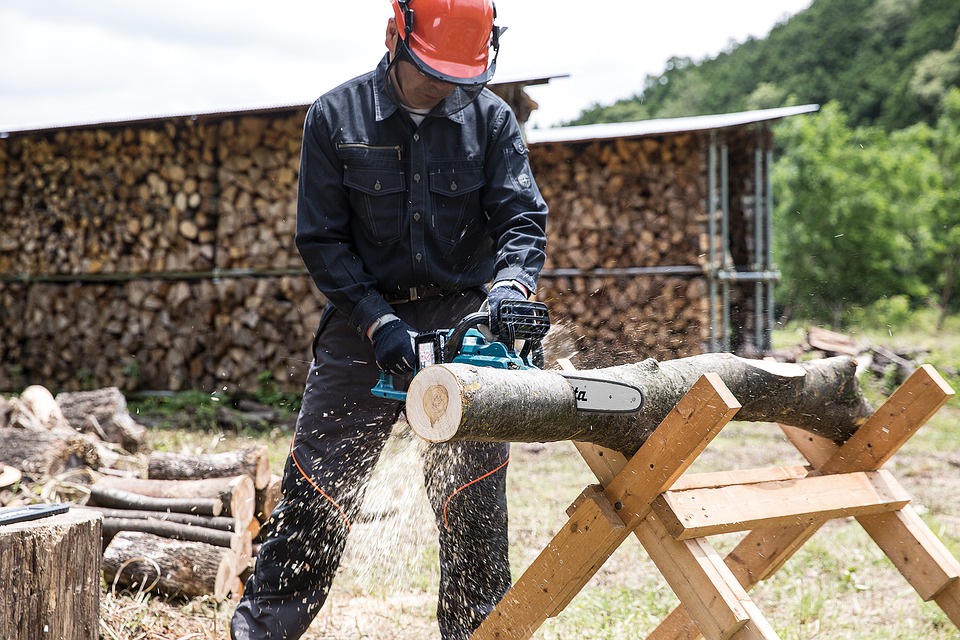 Tronçonneuse électrique: votre meilleur allié pour couper le bois