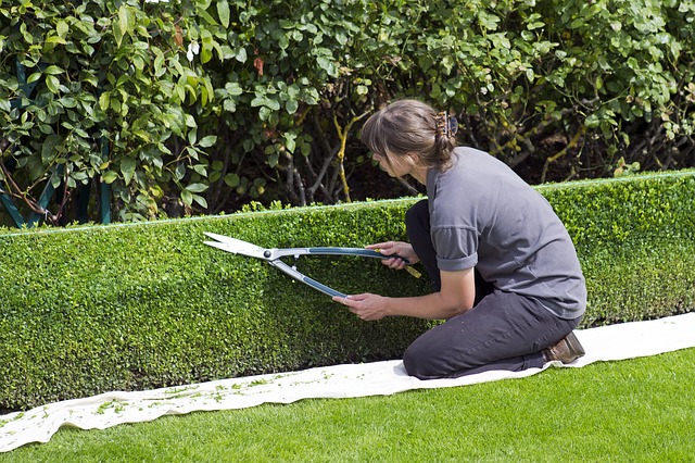 Comment trouver un bon jardinier paysagiste ?